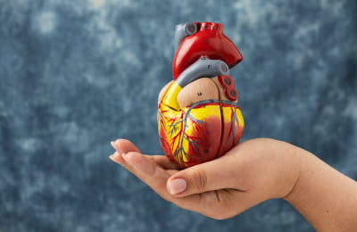 Sai Deepa Hospital - Neuro and Multispeciality in Chandanagar