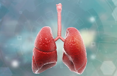 Sai Deepa Hospital - Neuro and Multispeciality in Chandanagar