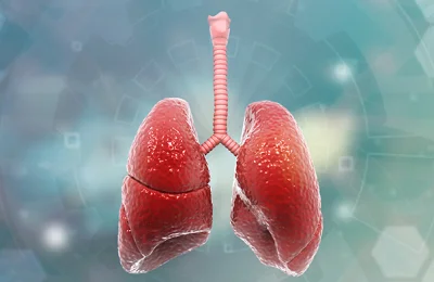 Sai Deepa Hospital - Neuro and Multispeciality in Chandanagar